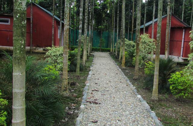 Resort Jayanti Hills Jungle Camp Rajabhat Khawa ภายนอก รูปภาพ